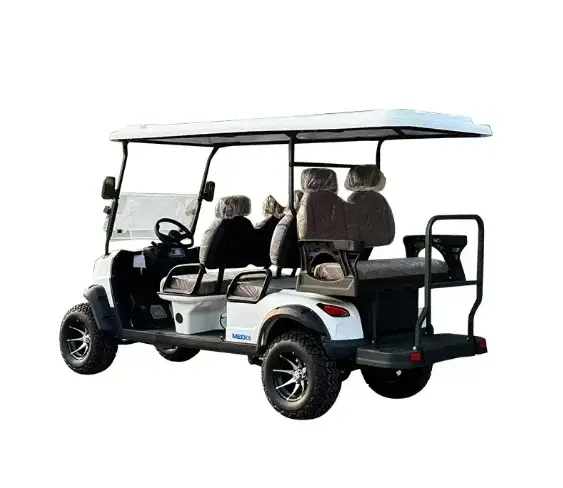 6 person electric golf cart