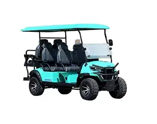 6 passenger electric golf cart