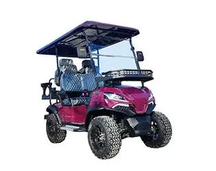 4 passenger street legal golf cart