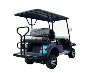 the best golf cart