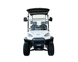 mini golf carts mini golf carts