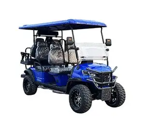  6 passenger electric golf cart