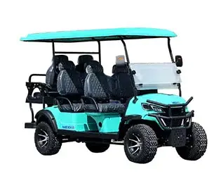  6 passenger electric golf cart