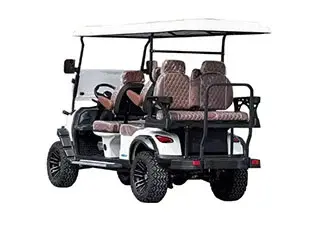 6 passenger golf cart street legal