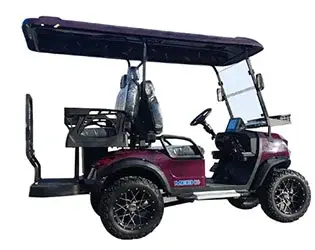 4 passenger street legal golf cart 4 passenger street legal golf cart
