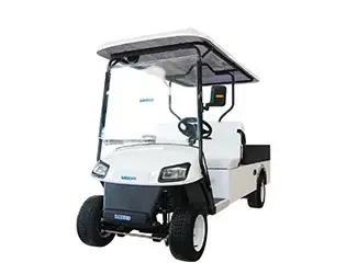 custom utility golf carts