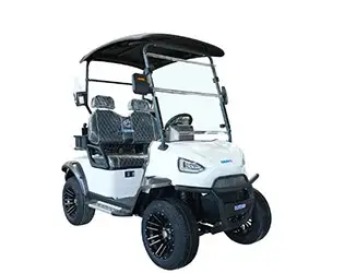 mini golf cart mini golf cart