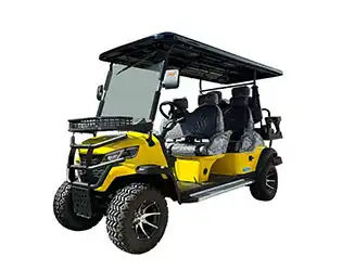 6 passenger golf cart