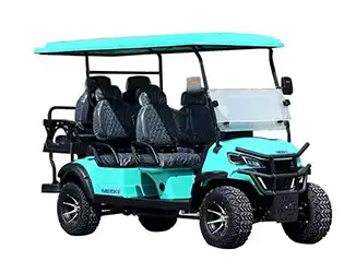 6 passenger golf cart