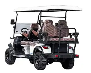6 passenger golf cart