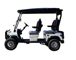 4 person luxury golf cart