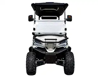 4 person luxury golf cart
