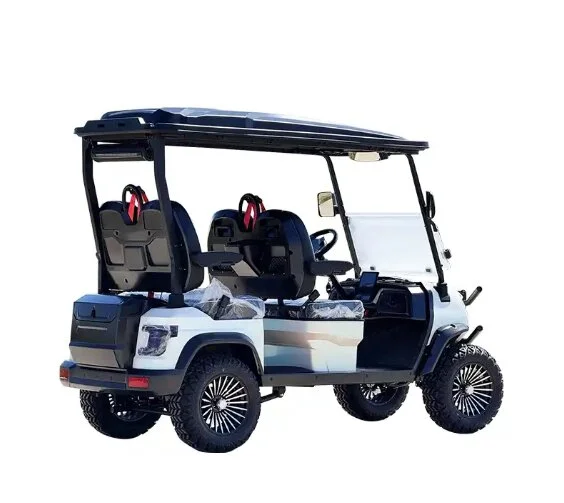 4 person luxury golf cart