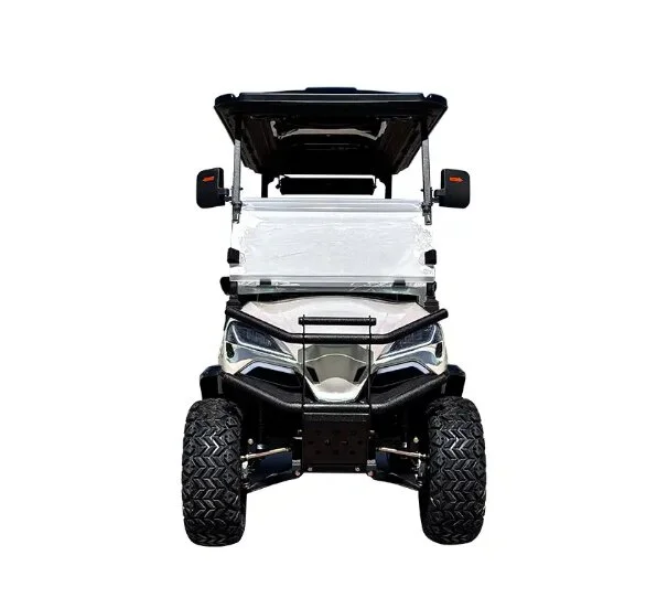 4 person luxury golf cart