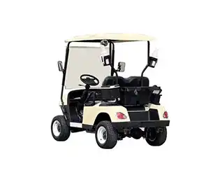 cheap gas golf carts for sale