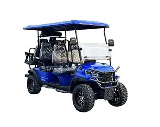 6 passenger golf cart