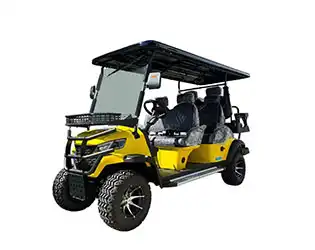 6 passenger golf cart