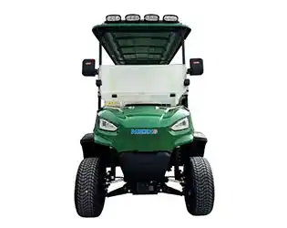 6 passenger electric golf cart for sale