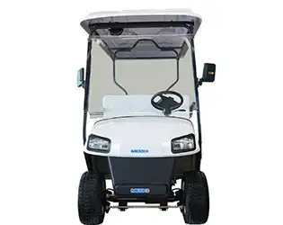 Custom utility golf carts Custom utility golf carts