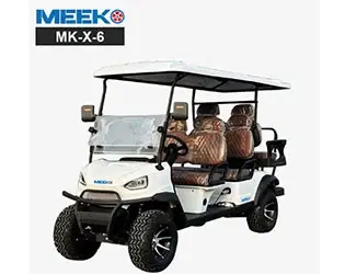 6 person electric golf cart