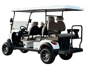 6 person electric golf cart