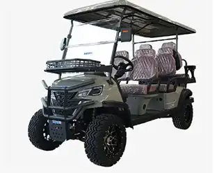 6 person street legal golf cart