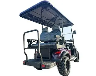 4 passenger street legal golf cart