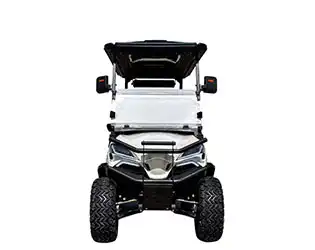 custom car golf carts custom car golf carts