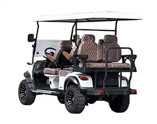 6 passenger electric golf cart