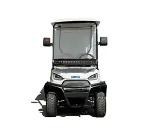 electric golf carts for sale street legal