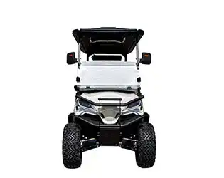 4 person luxury golf cart