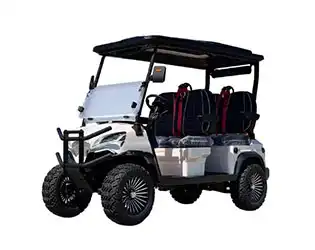4 person luxury golf cart