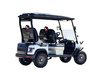 4 person luxury golf cart