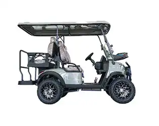 4 person electric golf cart