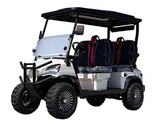4 person luxvry golf cart