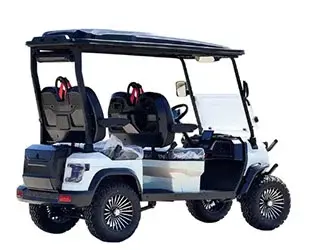 4 person luxvry golf cart