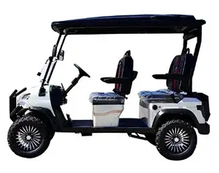 4 person luxvry golf cart