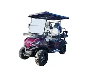 4 person golf cart