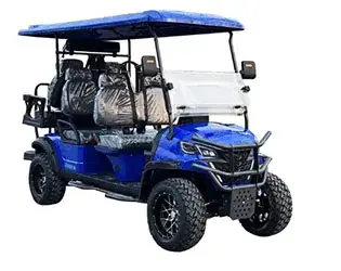 6 passenger golf cart