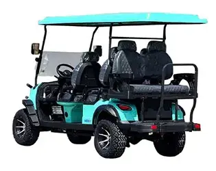 6 passenger golf cart