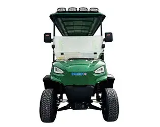 4WD golf cart electric
