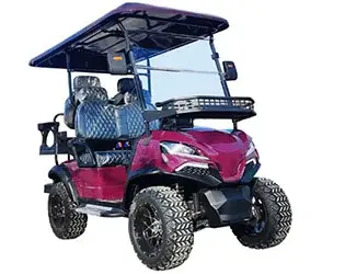 4 person golf cart