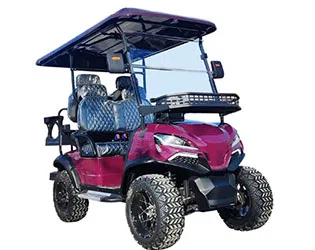 How to Select the Best 4 Passenger Street Legal Golf Cart in 2026？