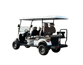Best 6 Person Electric Golf Cart Models to Buy in 2026