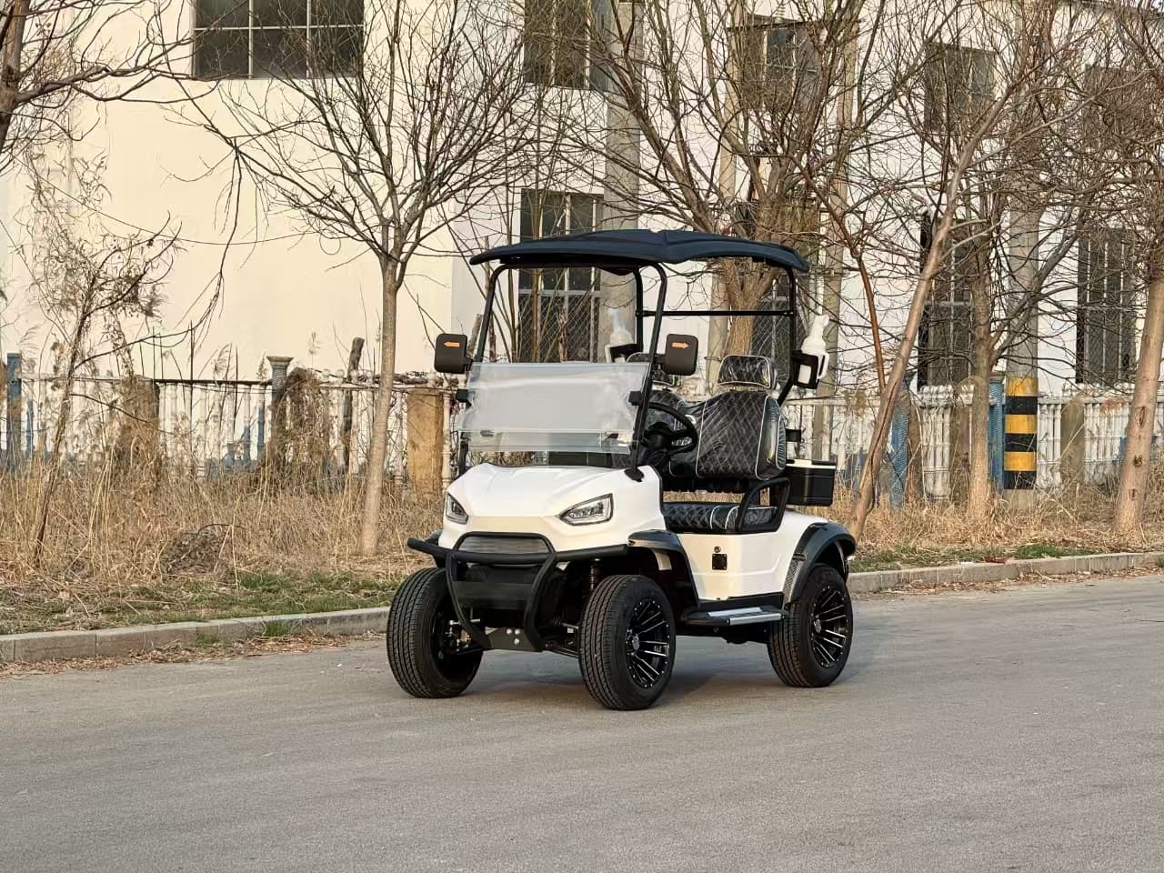 What Businesses Can Benefit Most from a 2 Seat Mini Golf Cart?