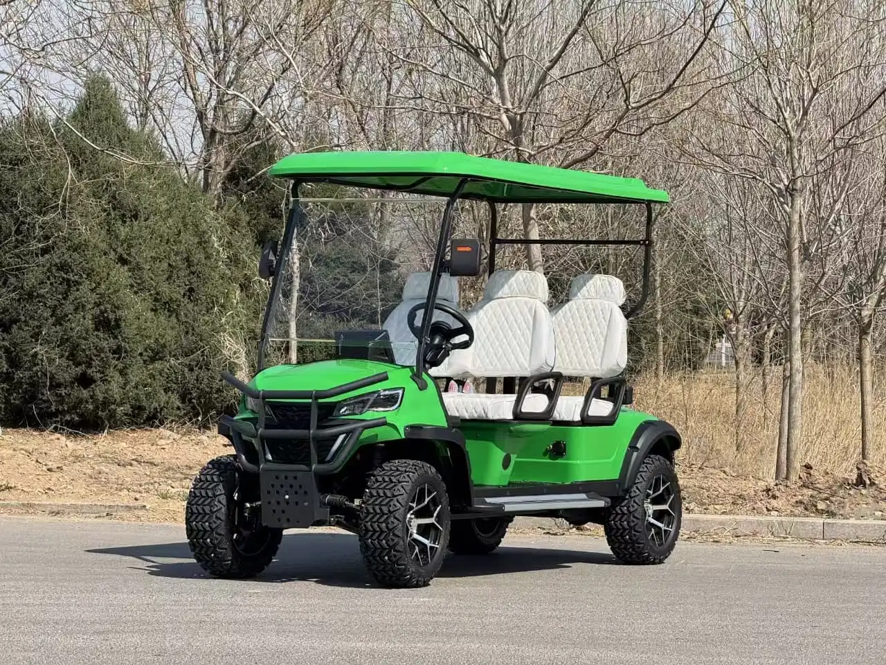 Desert to Beach: Electric 8 Seater Golf Cart for All Terrains