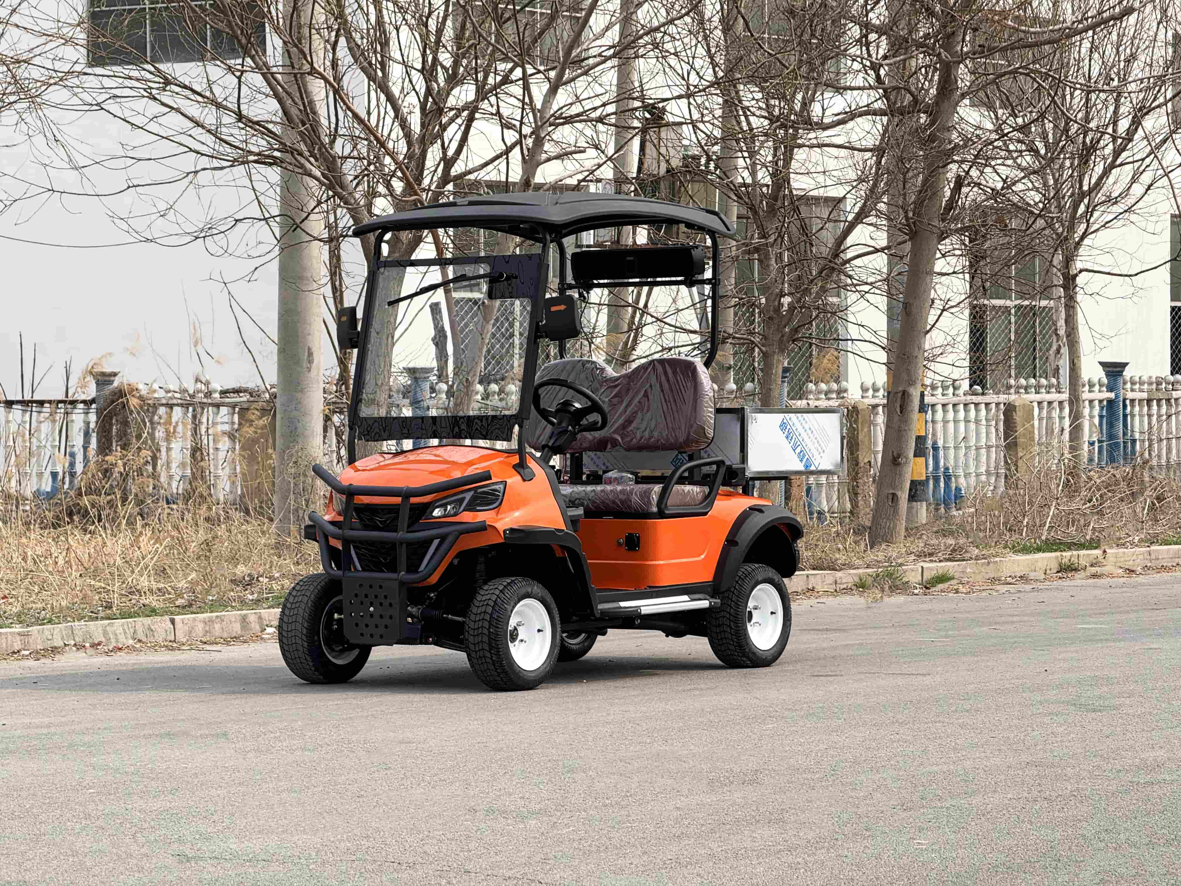 From Golf Course to Hotel: 2 Seat Mini Golf Cart Applications