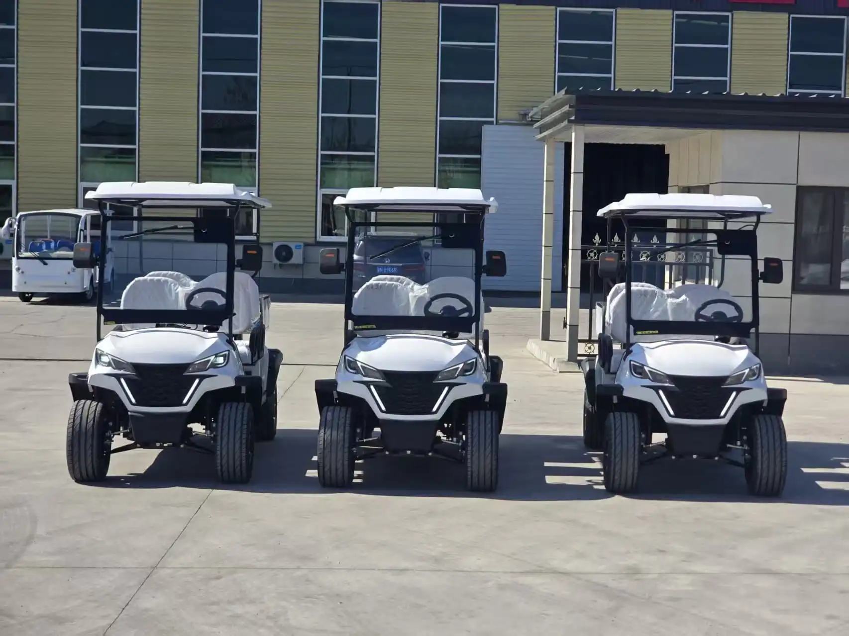 What Customization Options Are Available for the 8 Passenger Golf Cart?
