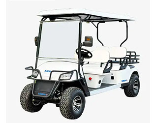 Cách chọn thương hiệu xe golf điện 4 bánh phù hợp