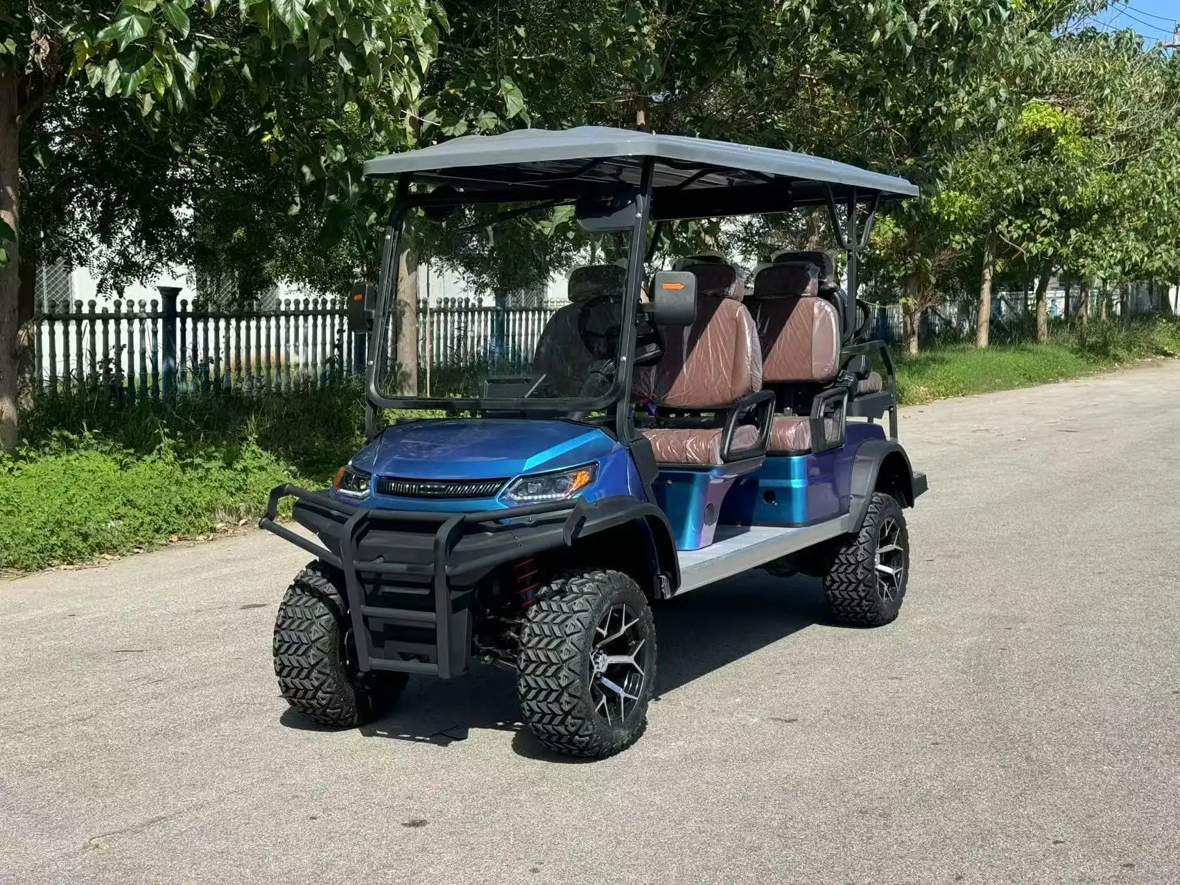 How Does the Luxury 6 Seater Golf Cart Cater to Diverse Transportation Needs?